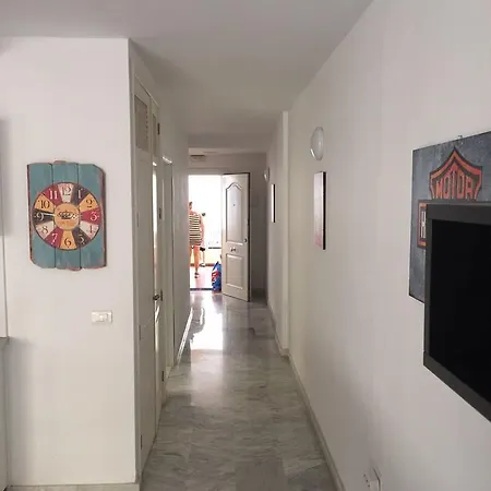 Dinastia *